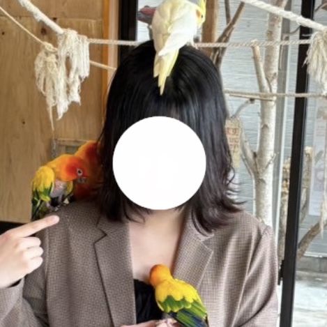 よってくりょ